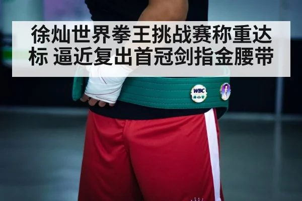 boxing championship belt